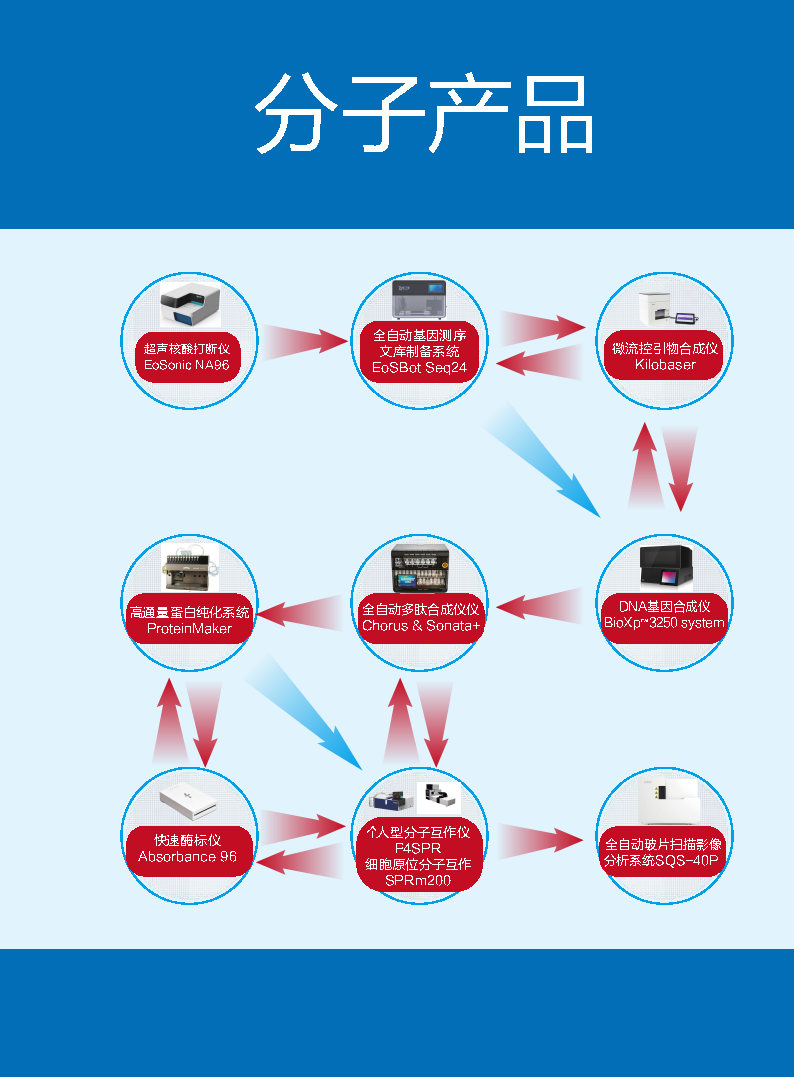 分子產(chǎn)品.jpg